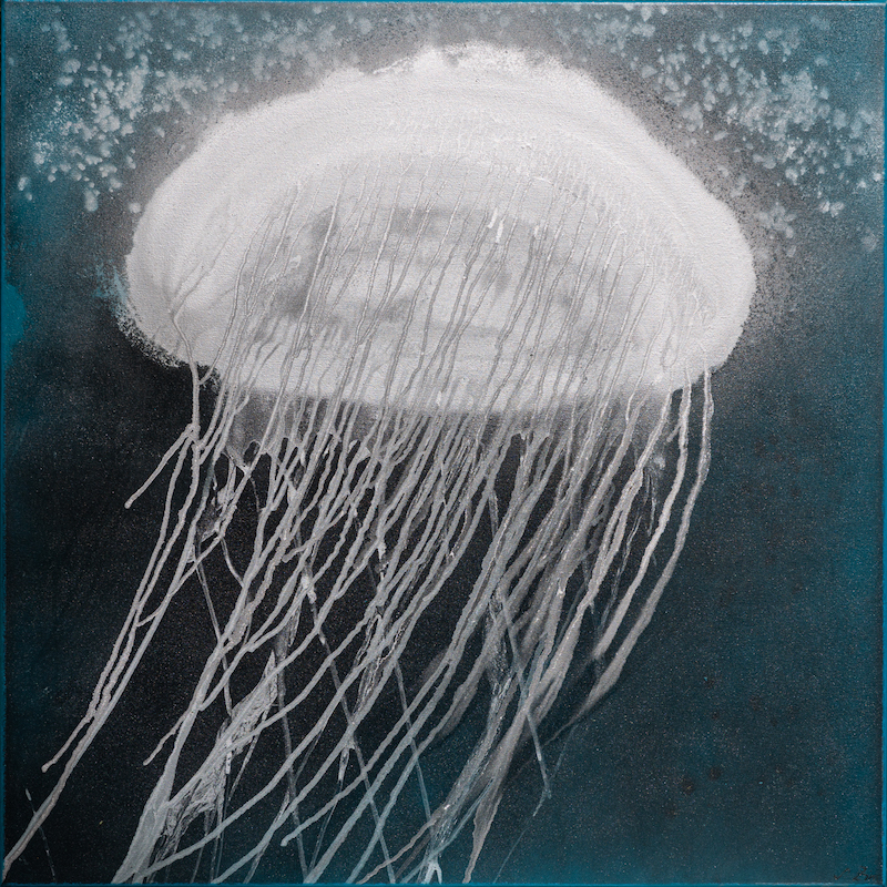 Jellyfish 4, 2022